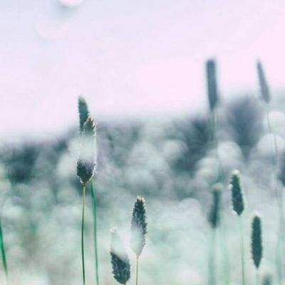 绊之幻想汉化版下载